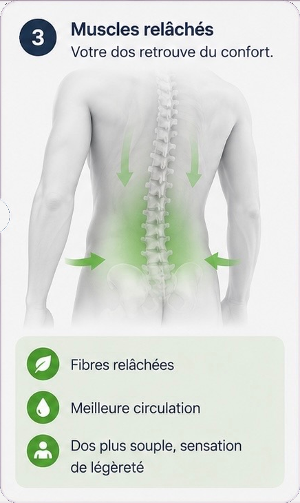 Étape 3, muscles relâchés : votre dos retrouve du confort. Fibres relâchées, meilleure circulation, dos plus souple.